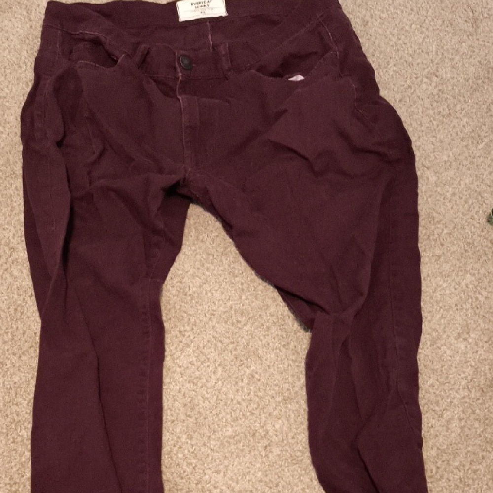 Urban Heritage Deep Purple Skinny Pants